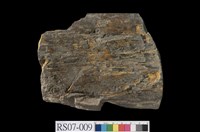 藏品(具滑面、斷層擦痕之砂岩)的圖片